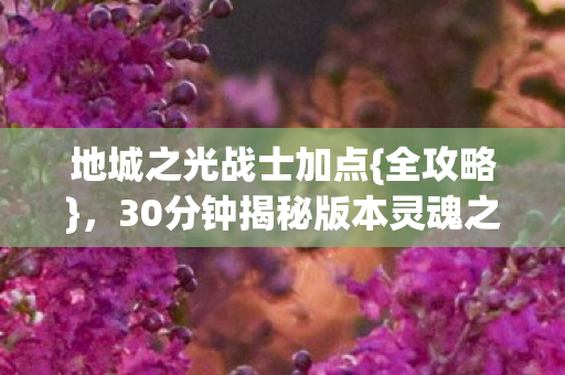 地城之光战士加点{全攻略}，30分钟揭秘版本灵魂之谜