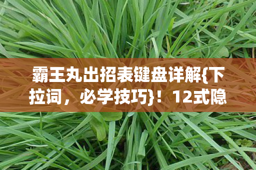 霸王丸出招表键盘详解{下拉词，必学技巧}！12式隐藏杀招揭秘