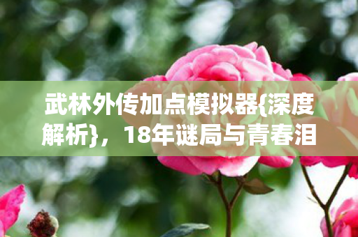 武林外传加点模拟器{深度解析},18年谜局与青春泪目 武林外传加点模拟器{深度解析},18年谜局与青春泪目