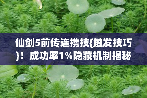 仙剑5前传连携技图片