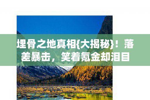 笑着氪金却泪目图片