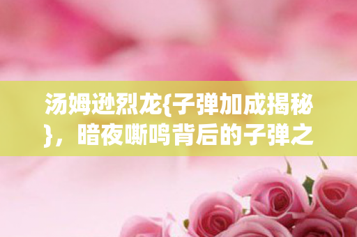 暗夜嘶鸣背后的子弹之谜图片