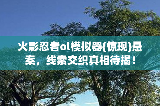 火影忍者ol模拟器图片