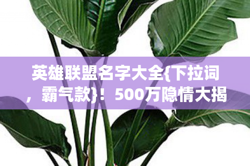 500万隐情大揭秘图片