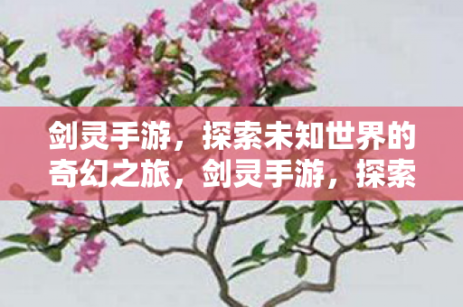 剑灵手游，探索未知世界的奇幻之旅，剑灵手游，探索未知世界的奇幻之旅