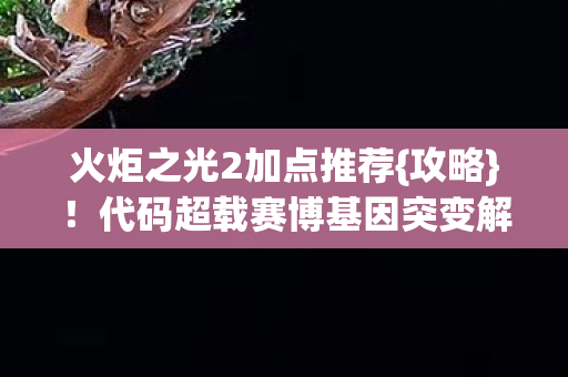 火炬之光2加点推荐{攻略}!代码超载赛博基因突变解析 火炬之光2加点推荐{攻略}!代码超载赛博基因突变解析