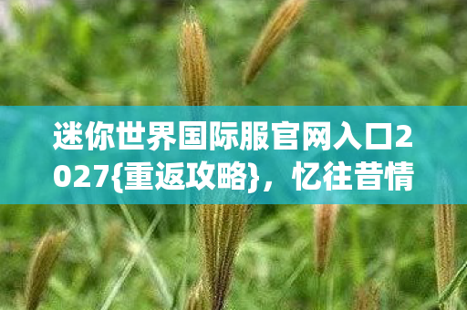 迷你世界国际服官网入口2027{重返攻略},忆往昔情伤 迷你世界国际服官网入口2027{重返攻略},忆往昔情伤