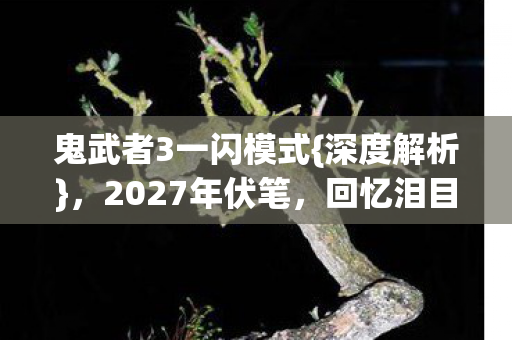 鬼武者3一闪模式图片