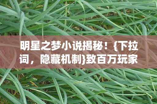 明星之梦小说揭秘图片