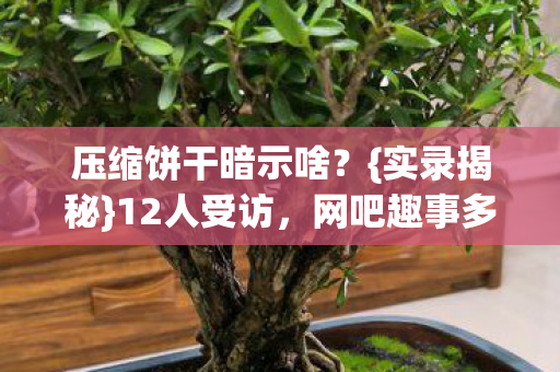 压缩饼干暗示啥图片