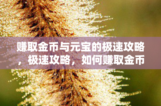 赚取金币与元宝的极速攻略,极速攻略,如何赚取金币与元宝 赚取金币与元宝的极速攻略,极速攻略,如何赚取金币与元宝