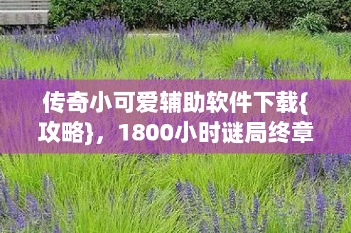 传奇小可爱辅助软件下载{攻略}，1800小时谜局终章揭秘