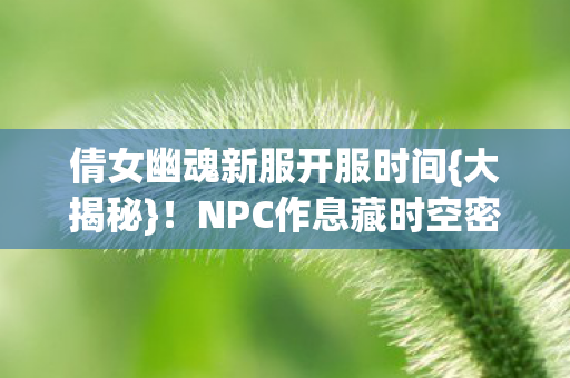 倩女幽魂新服开服时间{大揭秘}！NPC作息藏时空密码