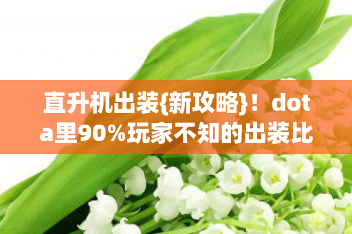 直升机出装{新攻略}！dota里90%玩家不知的出装比例