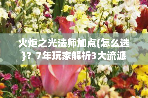 火炬之光法师加点{怎么选}?7年玩家解析3大流派 火炬之光法师加点{怎么选}?7年玩家解析3大流派