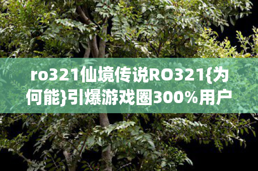 ro321仙境传说RO321图片