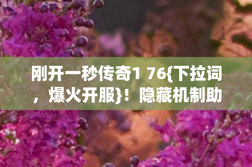 刚开一秒传奇1 76图片