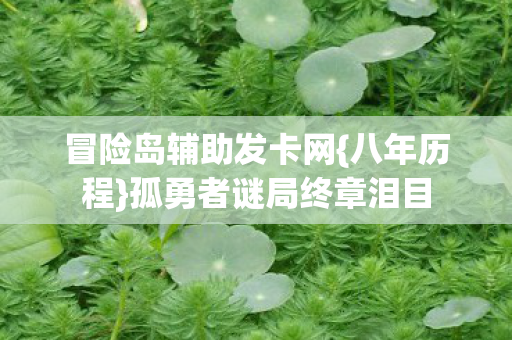 冒险岛辅助发卡网{八年历程}孤勇者谜局终章泪目