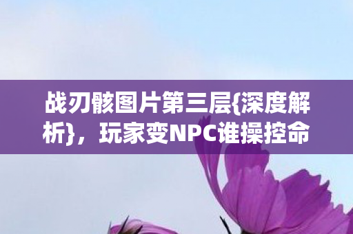 战刃骸图片第三层{深度解析}，玩家变NPC谁操控命运？
