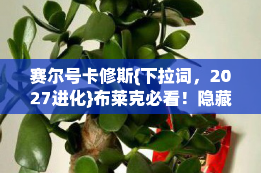隐藏机制实测分享图片