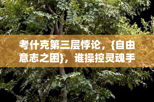 考什克第三层悖论图片