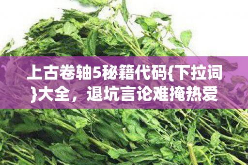 上古卷轴5秘籍代码{下拉词}大全，退坑言论难掩热爱真相