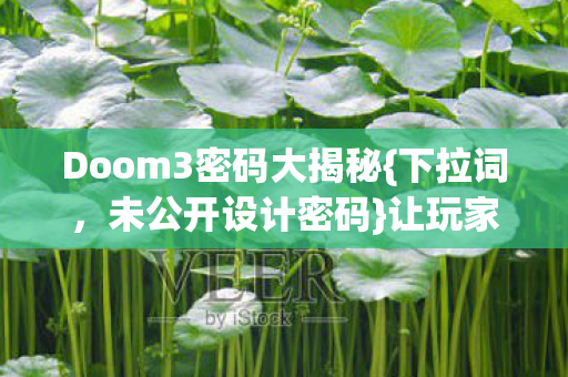 Doom3密码大揭秘图片