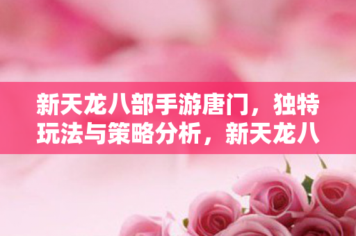 新天龙八部手游唐门独特玩法与策略解析图片