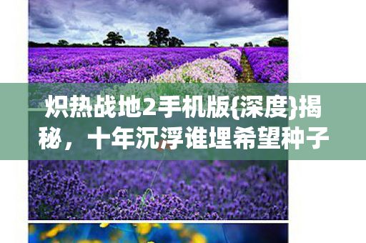 十年沉浮谁埋希望种子图片