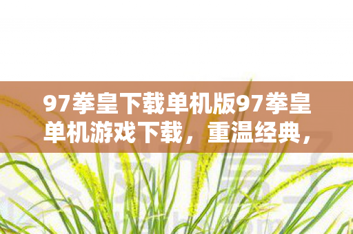 97拳皇下载单机版97拳皇单机游戏下载图片