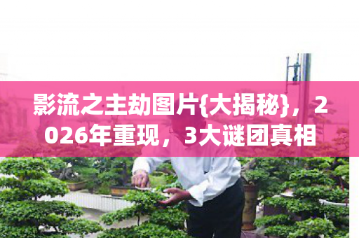 影流之主劫图片{大揭秘}，2026年重现，3大谜团真相