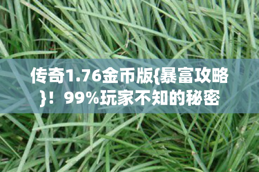 传奇1.76金币版{暴富攻略}！99%玩家不知的秘密