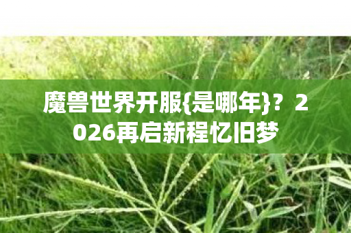 2026再启新程忆旧梦图片