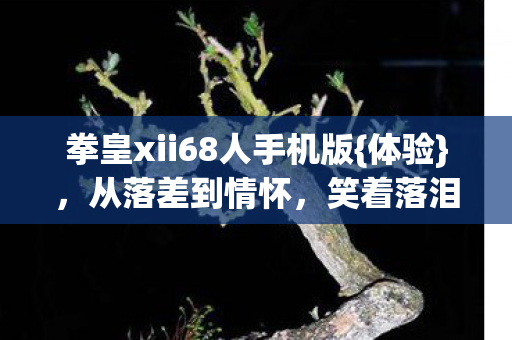 拳皇xii68人手机版图片