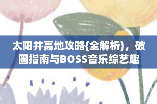 破圈指南与BOSS音乐综艺趣谈图片