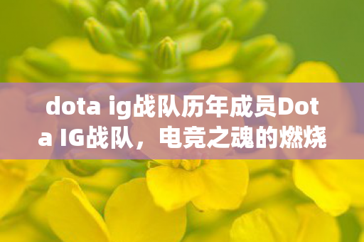 dota ig战队历年成员Dota IG战队图片