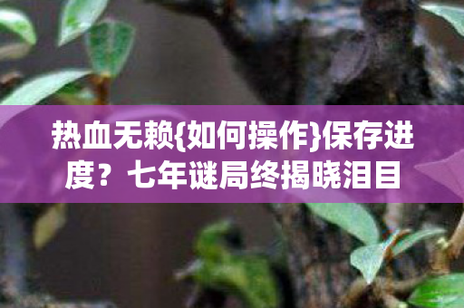 热血无赖{如何操作}保存进度？七年谜局终揭晓泪目