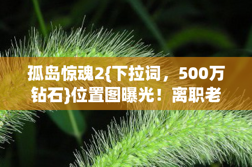 500万钻石图片