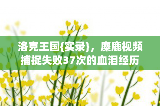 洛克王国{实录},麋鹿视频捕捉失败37次的血泪经历 洛克王国{实录},麋鹿视频捕捉失败37次的血泪经历