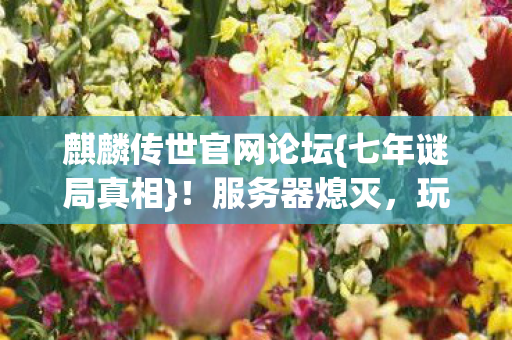 麒麟传世官网论坛{七年谜局真相}！服务器熄灭，玩家泪目