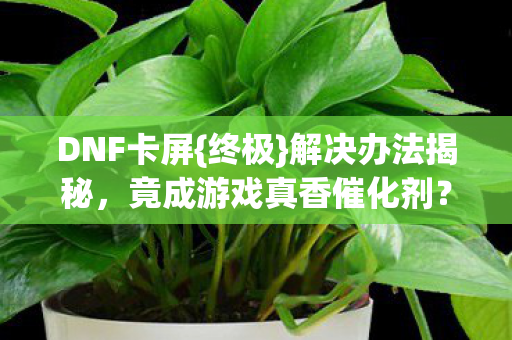 DNF卡屏{终极}解决办法揭秘,竟成游戏真香催化剂? DNF卡屏{终极}解决办法揭秘,竟成游戏真香催化剂?
