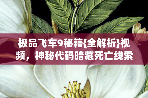 极品飞车9秘籍{全解析}视频，神秘代码暗藏死亡线索？