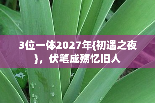 3位一体2027年{初遇之夜}，伏笔成殇忆旧人