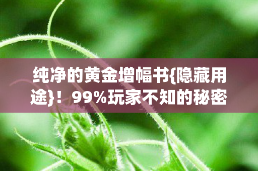 纯净的黄金增幅书{隐藏用途}!99%玩家不知的秘密 纯净的黄金增幅书{隐藏用途}!99%玩家不知的秘密