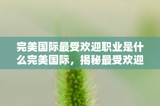 完美国际最受欢迎职业是什么完美国际图片