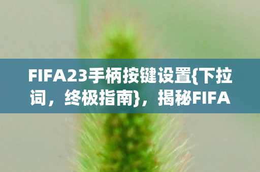 FIFA23手柄按键设置{下拉词,终极指南},揭秘FIFA13经典设置 FIFA23手柄按键设置{下拉词,终极指南},揭秘FIFA13经典设置
