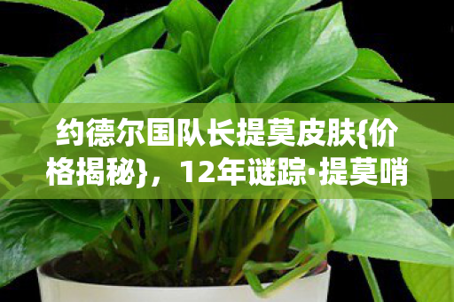 约德尔国队长提莫皮肤{价格揭秘},12年谜踪·提莫哨戒史诗款 约德尔国队长提莫皮肤{价格揭秘},12年谜踪·提莫哨戒史诗款