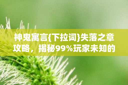 神鬼寓言{下拉词}失落之章攻略,揭秘99%玩家未知的暗面 神鬼寓言{下拉词}失落之章攻略,揭秘99%玩家未知的暗面