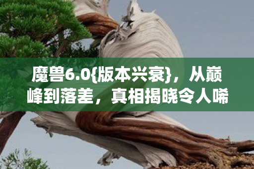 真相揭晓令人唏嘘图片