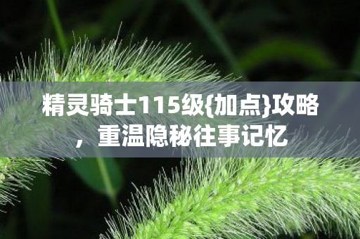 精灵骑士115级图片